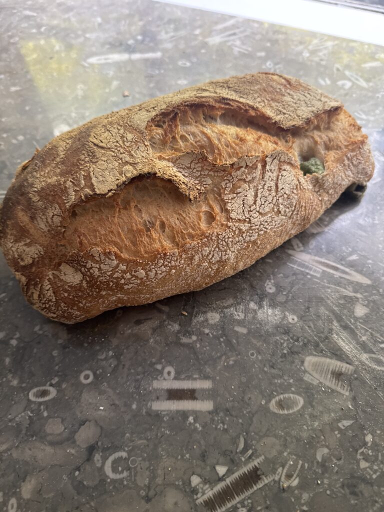 Olive Ciabatta