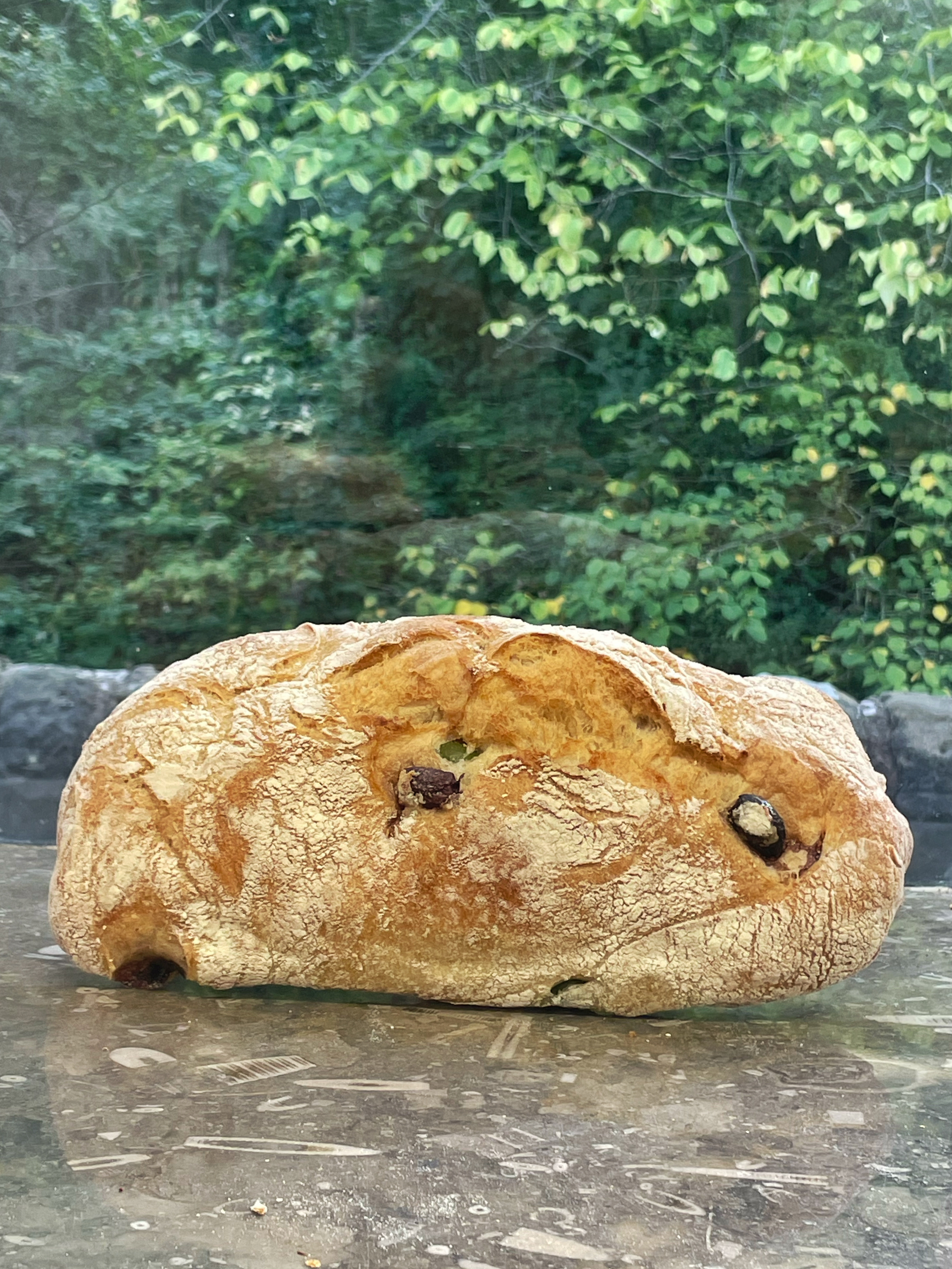 Olive Ciabatta