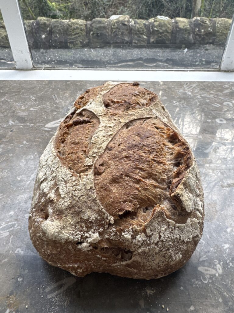 Walnut Sourdough
