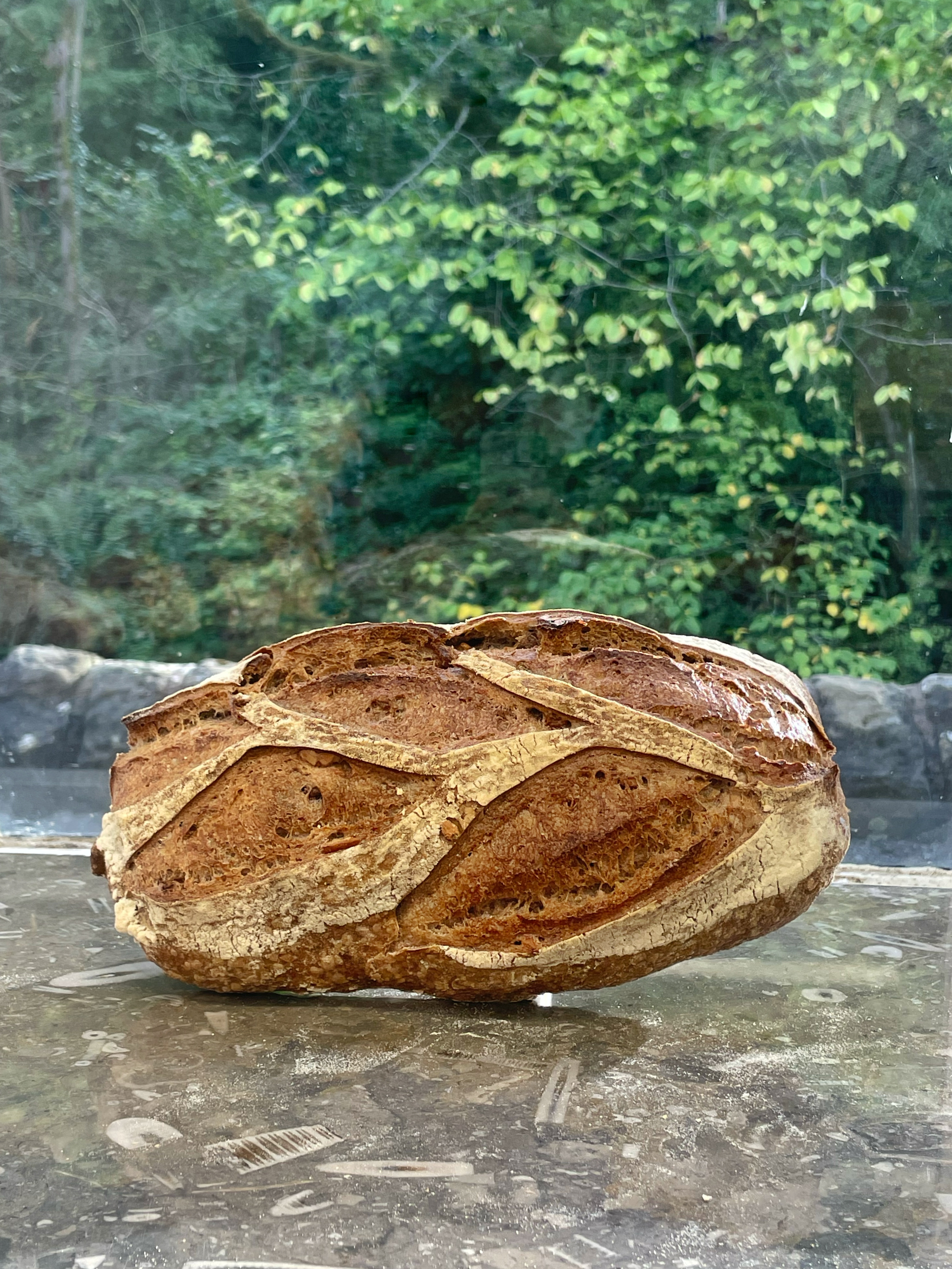 Walnut Sourdough