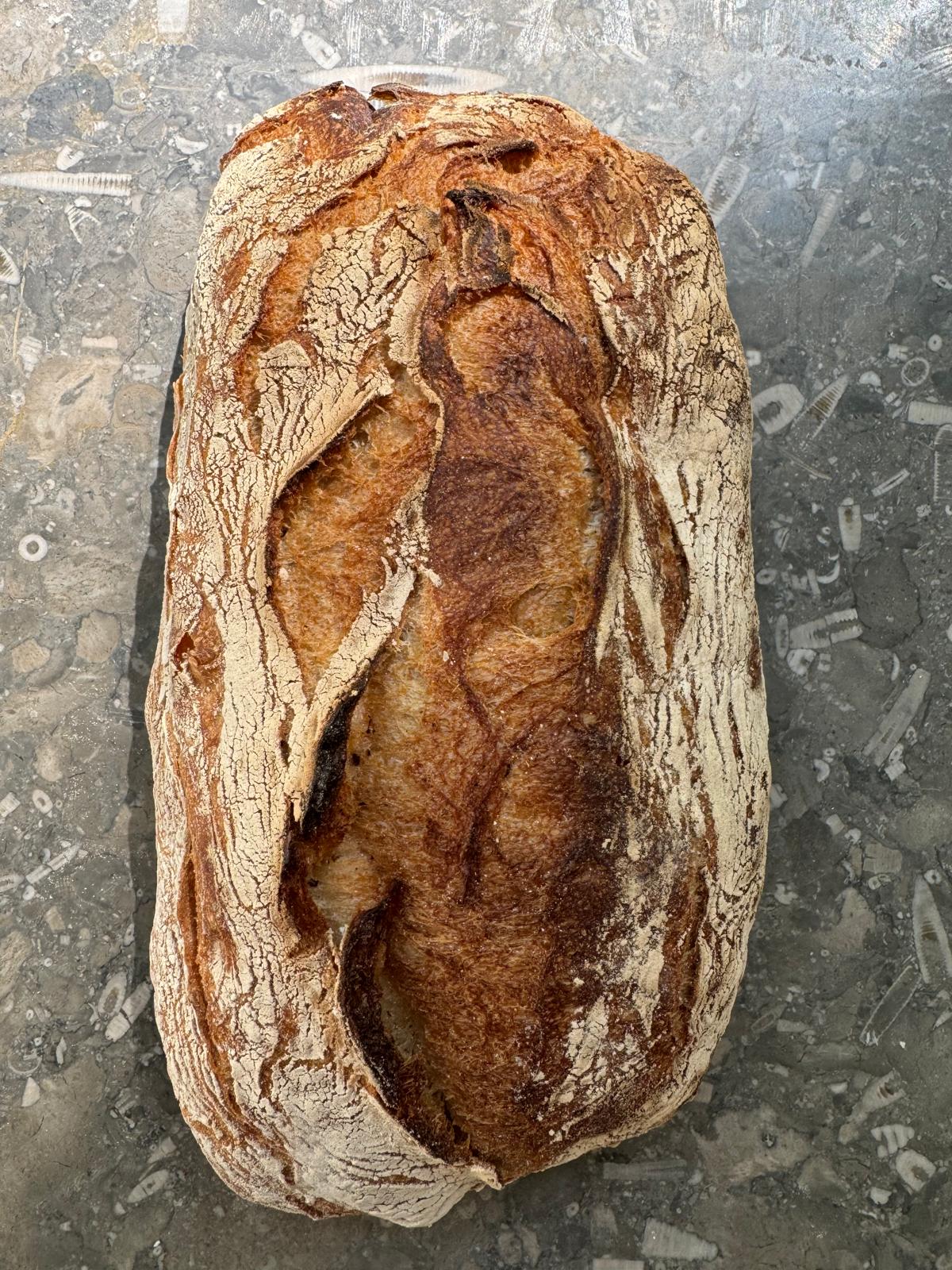 Ciabatta